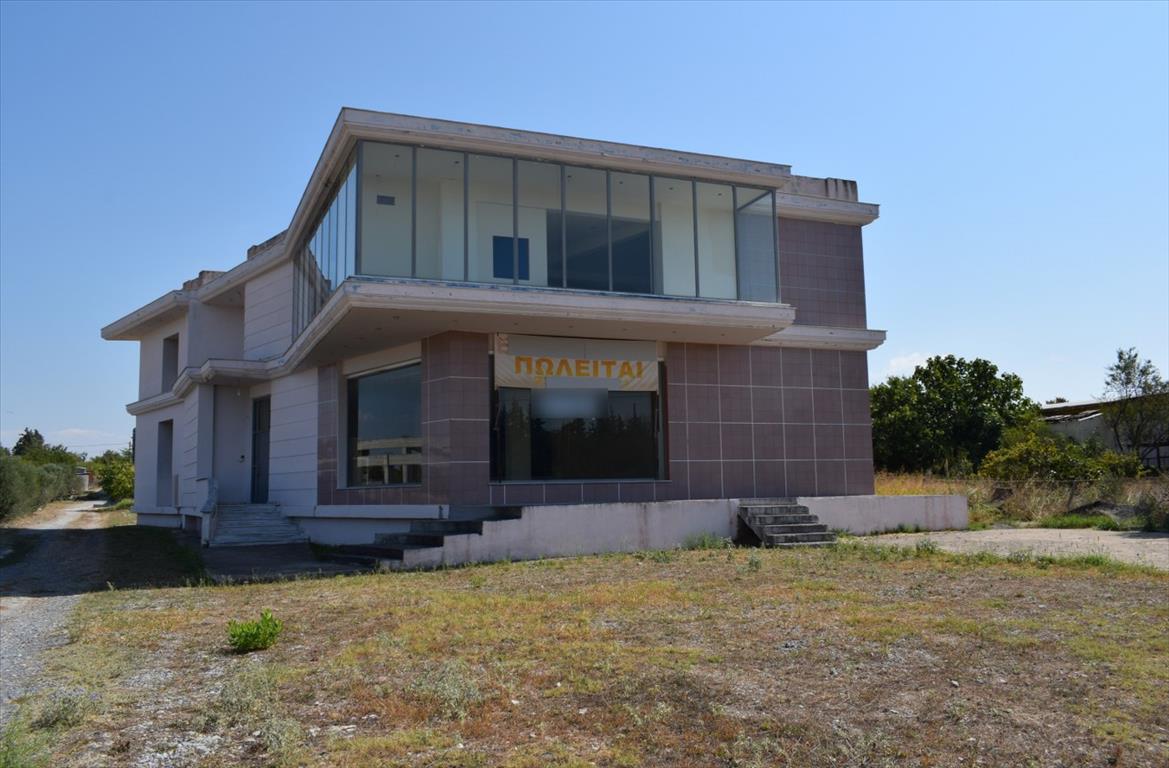 600m² maisonnette à vendre à Thermaic Gulf, Thermaikos, Thessaloniki, Central Macedonia, Macedonia and Thrace, Greece № 4560