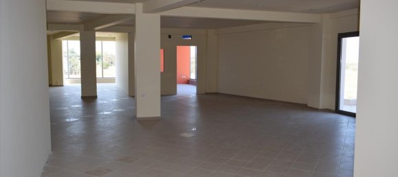 Мезонет 600м² в Термаикос, Греция № 4560 13