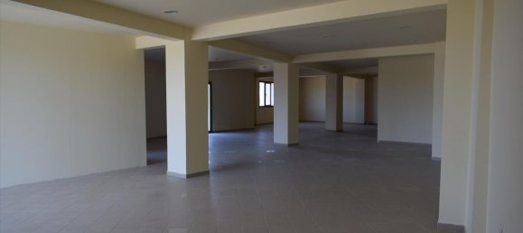 Мезонет 600м² в Термаикос, Греция № 4560 15