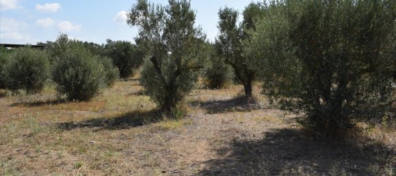 Мезонет 600м² в Термаикос, Греция № 4560 18