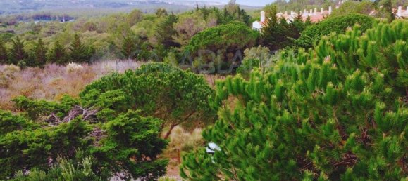 5 bedrooms House in Cascais, Portugal No. 130747 24