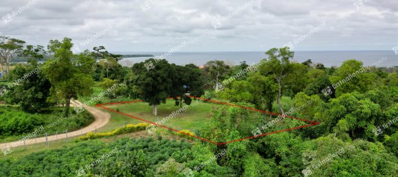 Terrain à Port-Vila, Vanuatu 1352m² No. 77 6