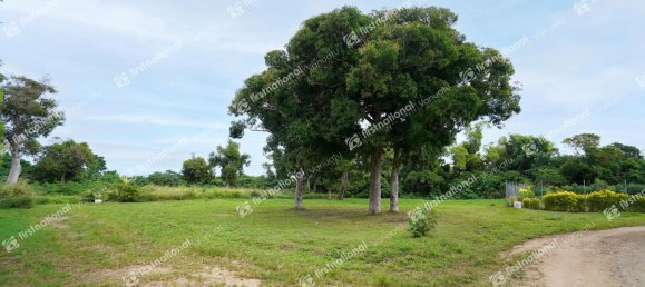 Terrain à Port-Vila, Vanuatu 1352m² No. 77 5