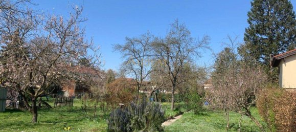 Terrain à Korneuburg, Austria No. 231217 2