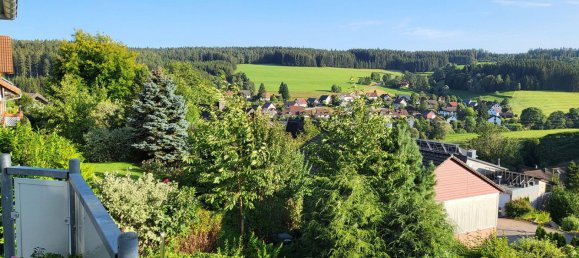 Дом с 7 комнатами в Шварцвальд-Бар, Германия № 218338 9