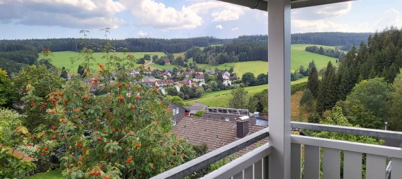 Дом с 7 комнатами в Шварцвальд-Бар, Германия № 218338 8