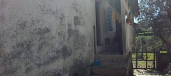 4 bedrooms House in Marco de Canaveses, Portugal No. 82274 2