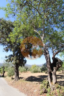 520m² Land in Sao Bras de Alportel, Portugal No. 49497