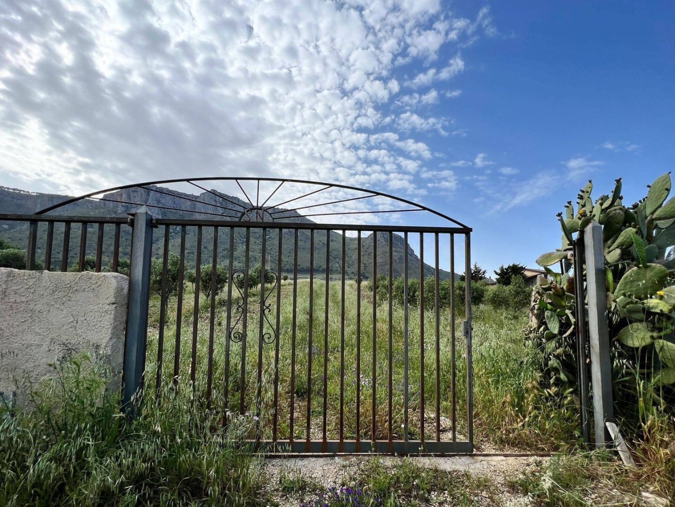 Terreno em Castellammare del Golfo, Italy 20000 m² N.º 261014