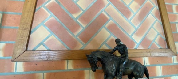 5 bedrooms House in Salies-de-Bearn, France No. 321271 12