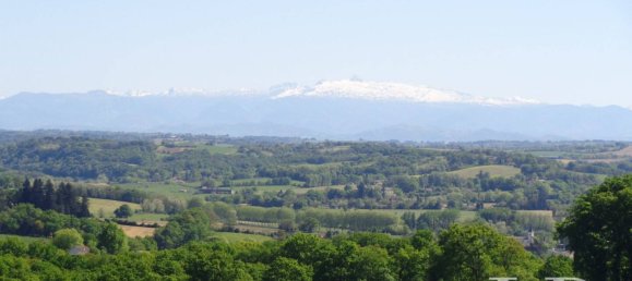 5 bedrooms House in Salies-de-Bearn, France No. 321271 2