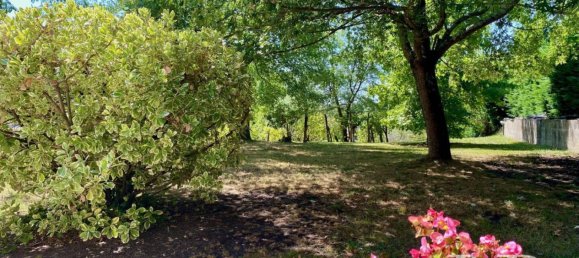 5 bedrooms House in Salies-de-Bearn, France No. 321271 28