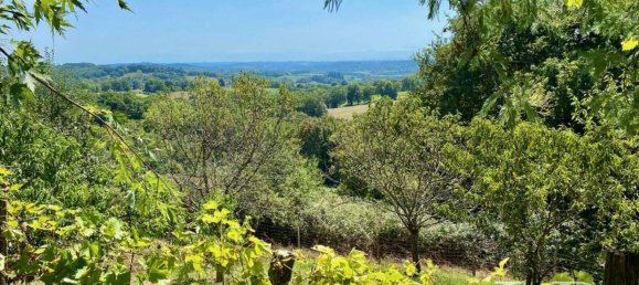 5 bedrooms House in Salies-de-Bearn, France No. 321271 16