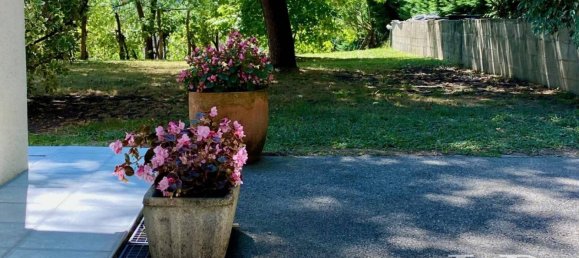 5 bedrooms House in Salies-de-Bearn, France No. 321271 29