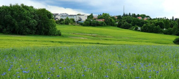 Terreno en Vogtlandkreis, Germany No. 79497 4
