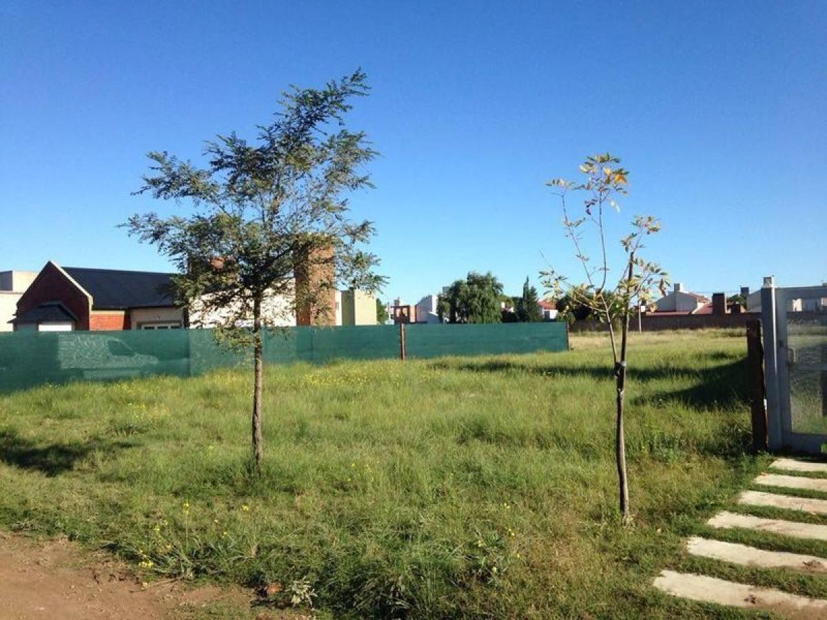 Terreno en Buenos Aires, Argentina No. 116031