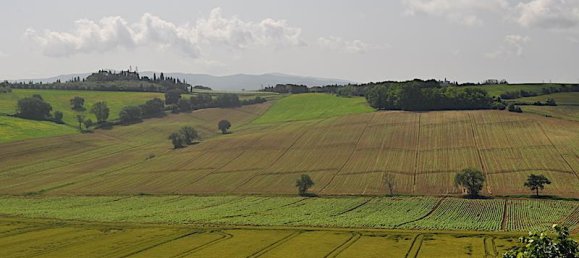 Studio in Castiglione del Lago, Italy No. 139904 3