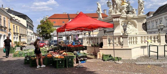 19-Zimmer Büro in Mödling, Austria, Nr. 57686 41