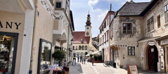 19-Zimmer Büro in Mödling, Austria, Nr. 57686 44