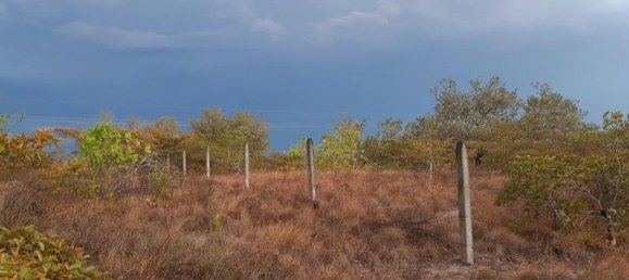  Land in Liberia, Costa Rica No. 1779 5