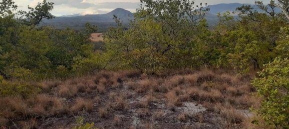  Land in Liberia, Costa Rica No. 1779 3