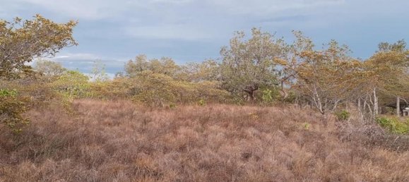  Land in Liberia, Costa Rica No. 1779 6