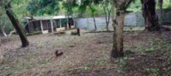 4 Schlafzimmer Haus in San Rafael, Costa Rica, Nr. 675 4