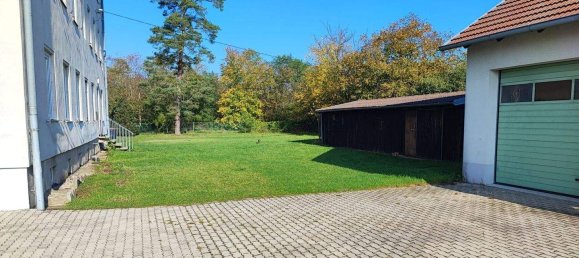 4 rooms Apartment in Bernhardsthal, Austria No. 153385 11