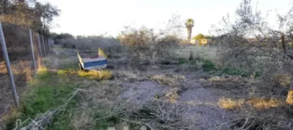 4 bedrooms House in Almardà, Spain No. 31128 32