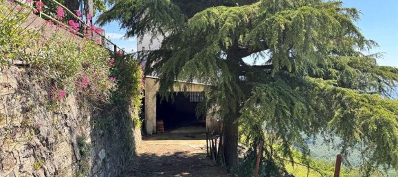 3 bedrooms House in Borgomaro, Italy No. 381976 31