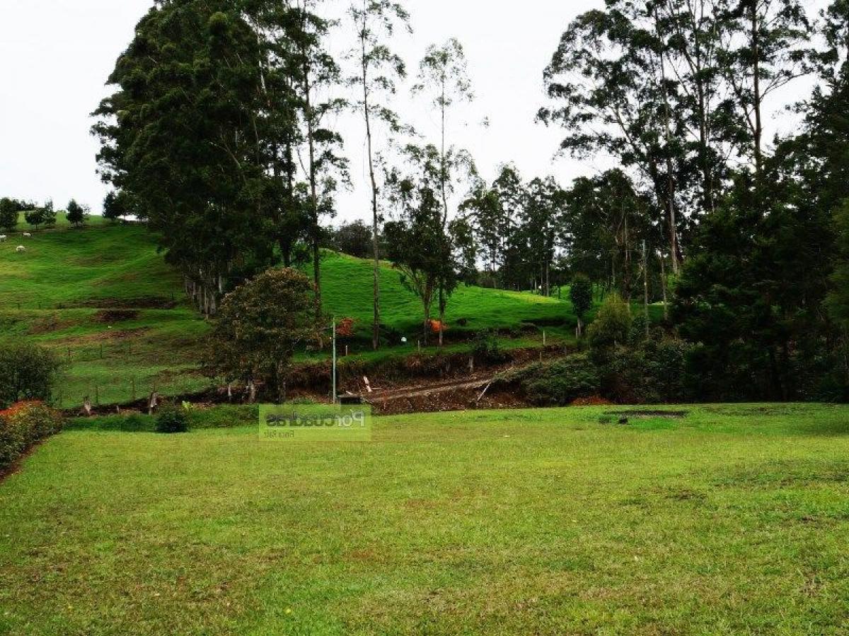 Terreno en Antioquia, Colombia No. 473