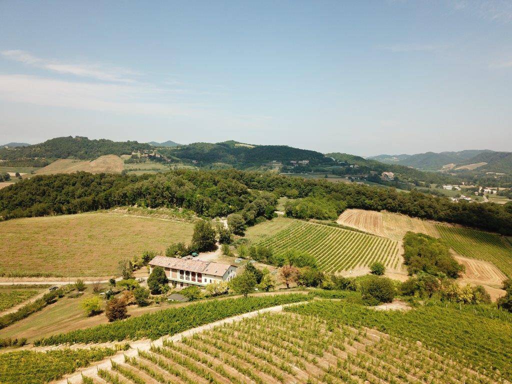 25 rooms Hotel in Murisengo, Italy No. 238531