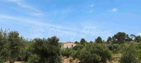 Casa T3 em Valencia, Spain N.º 134590 41