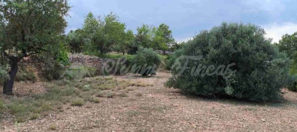 Casa T3 em Valencia, Spain N.º 134590 43