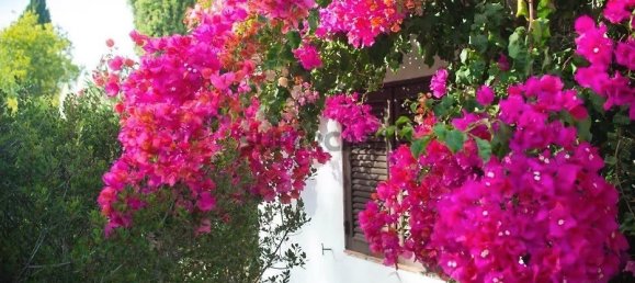 3 Schlafzimmer Haus in Mexilhoeira Grande, Portugal, Nr. 158037 28