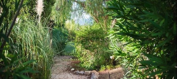 3 Schlafzimmer Haus in Mexilhoeira Grande, Portugal, Nr. 158037 8