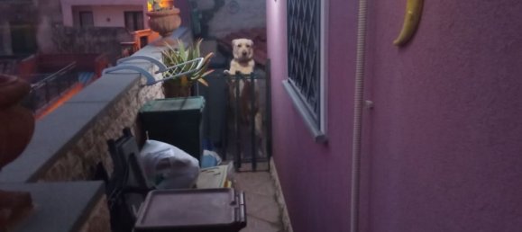 3-Zimmer Haus in Acireale, Italy, Nr. 255997 27