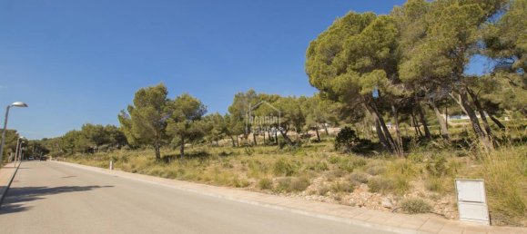 Terreno en Es Mercadal, Spain No. 3914 6