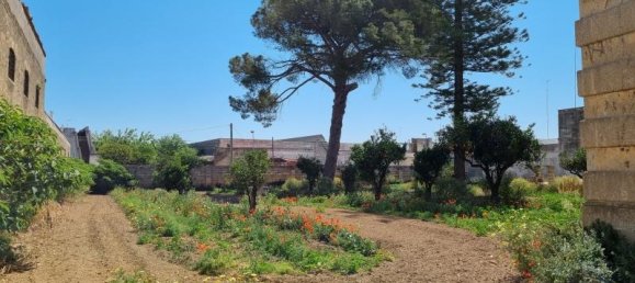 30-Zimmer Gebäude in Squinzano, Italy, Nr. 230734 19