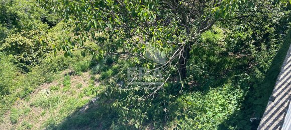 2 bedrooms Townhouse in Quercitello, France No. 256793 5