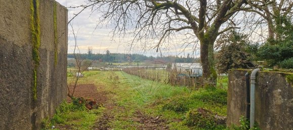 2 Schlafzimmer Haus in Pinheiro de Azere, Portugal, Nr. 165848 38