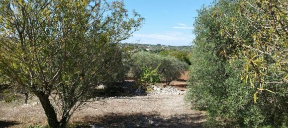 Villa de 6 divisões em Ostuni, Italy N.º 162446 13