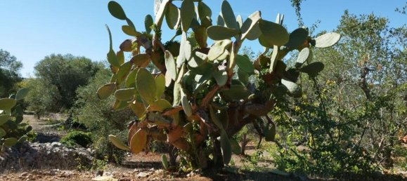 Villa de 6 divisões em Ostuni, Italy N.º 162446 15