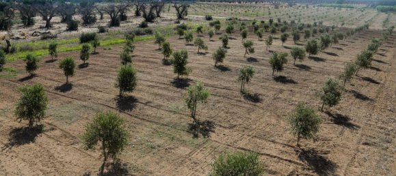 3 bedrooms House in Torchiarolo, Italy No. 371569 26