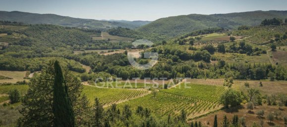 9 bedrooms House in Castellina in Chianti, Italy No. 323837 32