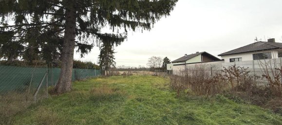 4-Zimmer Haus in Ringelsdorf-Niederabsdorf, Austria, Nr. 168145 6