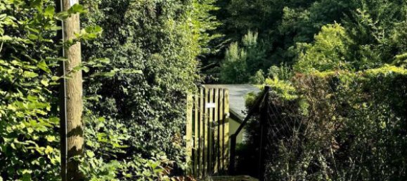 1 chambre Maison à Harz, Germany No. 170392 6