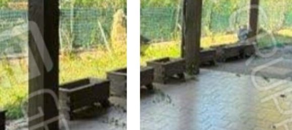 3 rooms Villa in Cassano delle Murge, Italy No. 231919 5