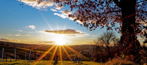 6 غرف نوم منزل في Vogelsbergkreis, Germany رقم 342340 20