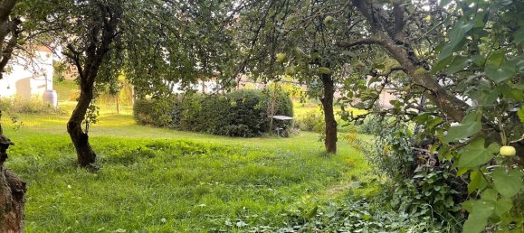 7-salle Maison à Burgenlandkreis, Germany No. 282660 6